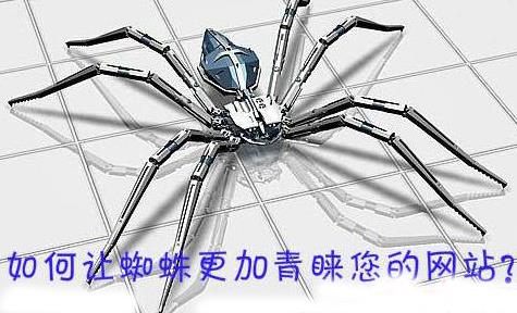 如何讓蜘蛛更加親睞您的網站 如何讓蜘蛛更加親睞您的網站